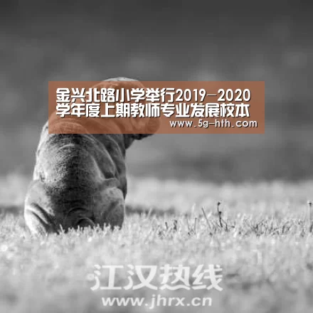 金兴北路小学举行2019-2020学年度上期教师专业发展校本培训‘www.hth.com’(图3)